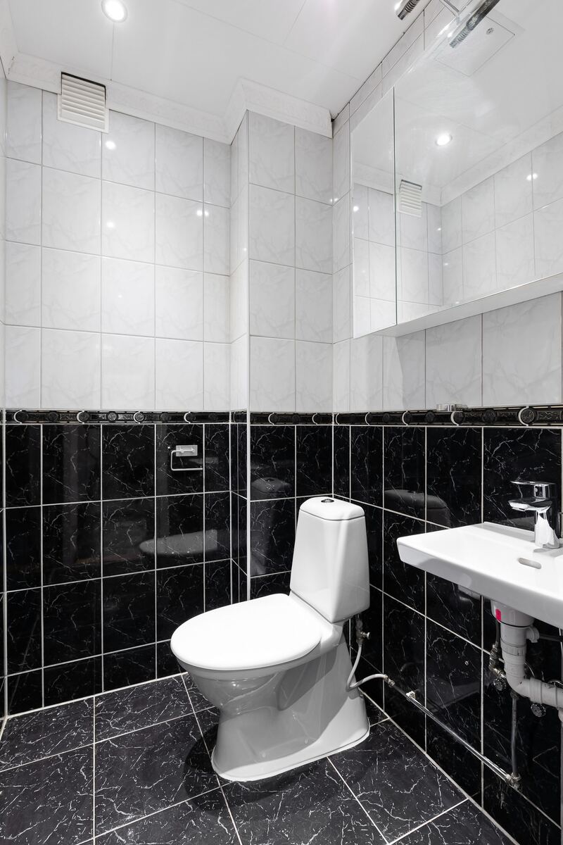 Toilet Repairs — illustrative photo